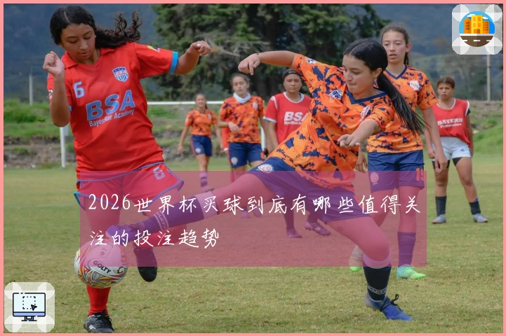 2026世界杯买球到底有哪些值得关注的投注趋势