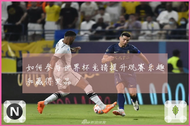 如何参与世界杯竞猜提升观赛乐趣和赢得奖品