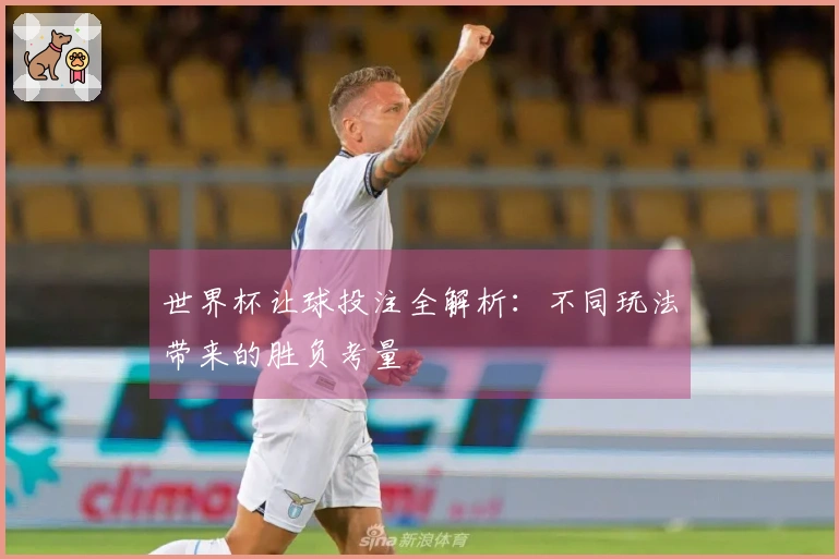 世界杯让球投注全解析：不同玩法带来的胜负考量