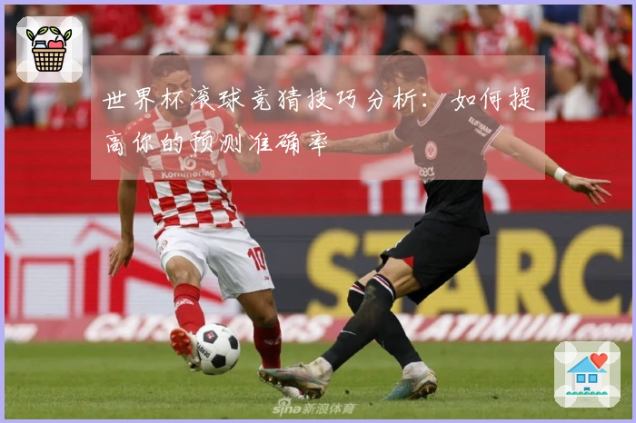 世界杯滚球竞猜技巧分析：如何提高你的预测准确率