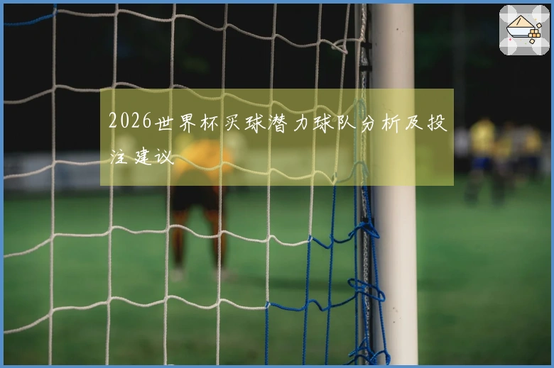 2026世界杯买球潜力球队分析及投注建议