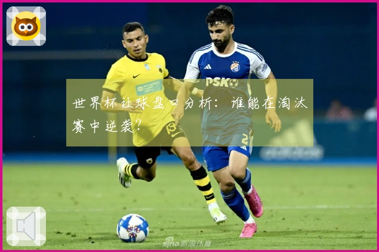 世界杯让球盘口分析：谁能在淘汰赛中逆袭？