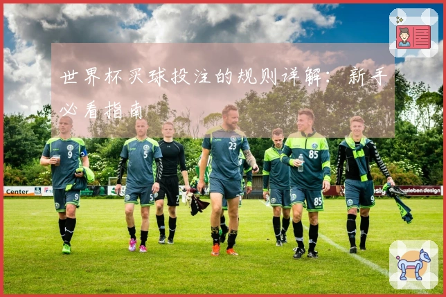 世界杯买球投注的规则详解：新手必看指南