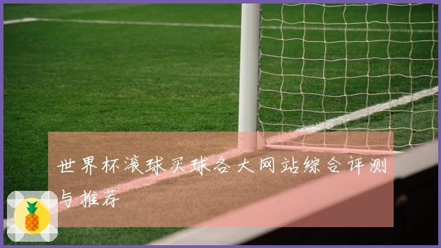世界杯滚球买球各大网站综合评测与推荐