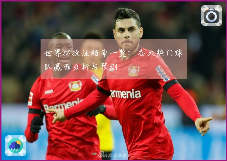 世界杯投注赔率一览：各大热门球队赢面分析与预测