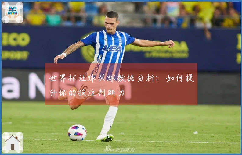 世界杯让球买球数据分析：如何提升你的投注判断力