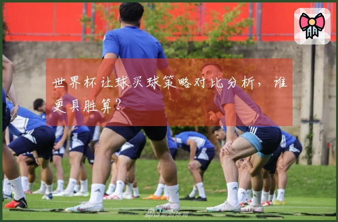 世界杯让球买球策略对比分析，谁更具胜算？
