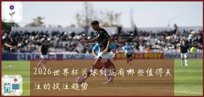 2026世界杯买球到底有哪些值得关注的投注趋势