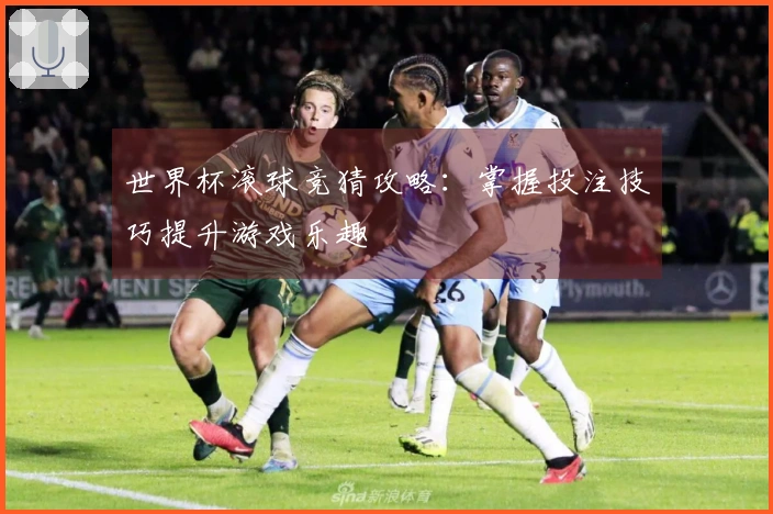 世界杯滚球竞猜攻略：掌握投注技巧提升游戏乐趣