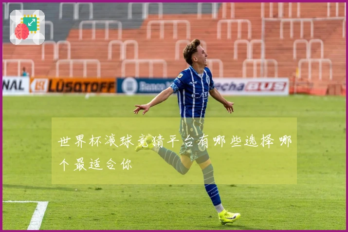 世界杯滚球竞猜平台有哪些选择 哪个最适合你