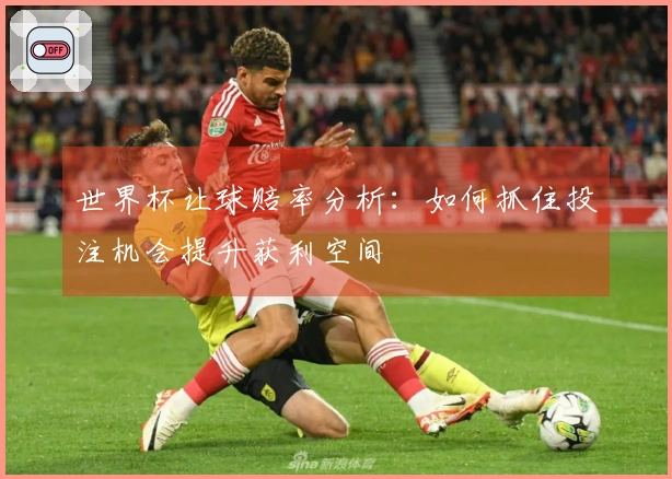 世界杯让球赔率分析：如何抓住投注机会提升获利空间