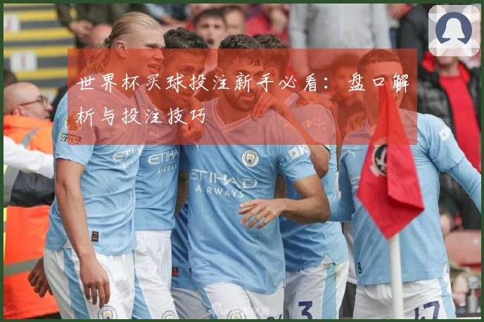 世界杯买球投注新手必看：盘口解析与投注技巧